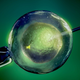 Illustration for article titled White Women Are More Likely Than Other Races To Succeed At IVF